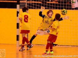 mini-Schlins-U9-Spiegl-DSC_1242